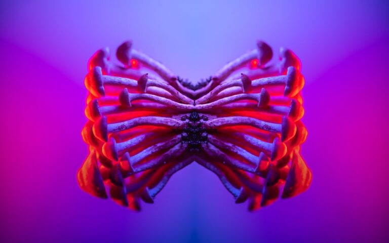 Symmetrical mirrored mushrooms glowing in vibrant red and purple neon light, creating a psychedelic butterfly shape
