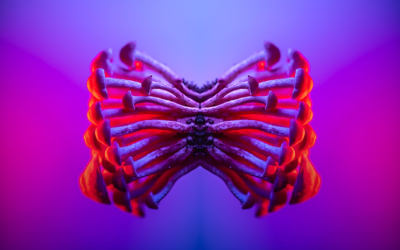 Symmetrical mirrored mushrooms glowing in vibrant red and purple neon light, creating a psychedelic butterfly shape