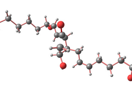 3D ball-and-stick molecular model with gray carbon atoms, red oxygen atoms, and white hydrogen atoms on white background.