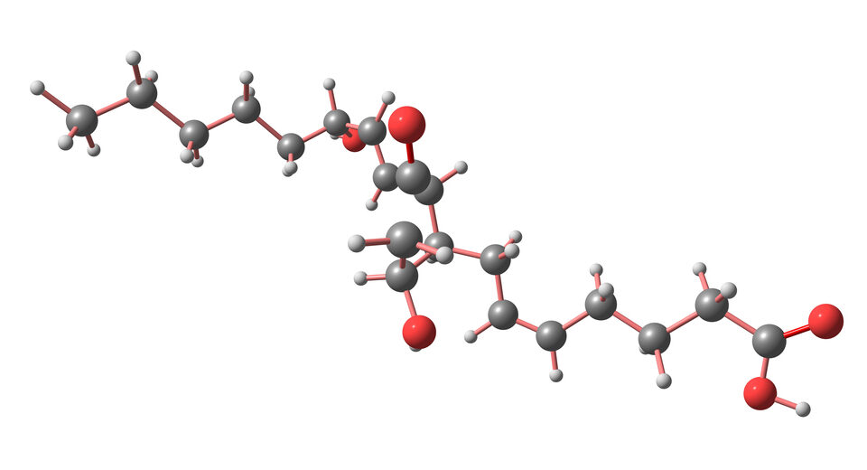 3D ball-and-stick molecular model with gray carbon atoms, red oxygen atoms, and white hydrogen atoms on white background.